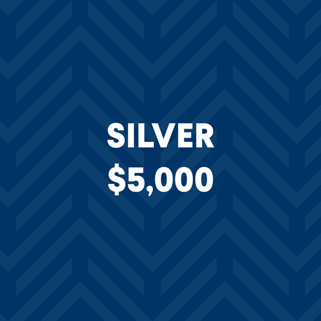Silver Level